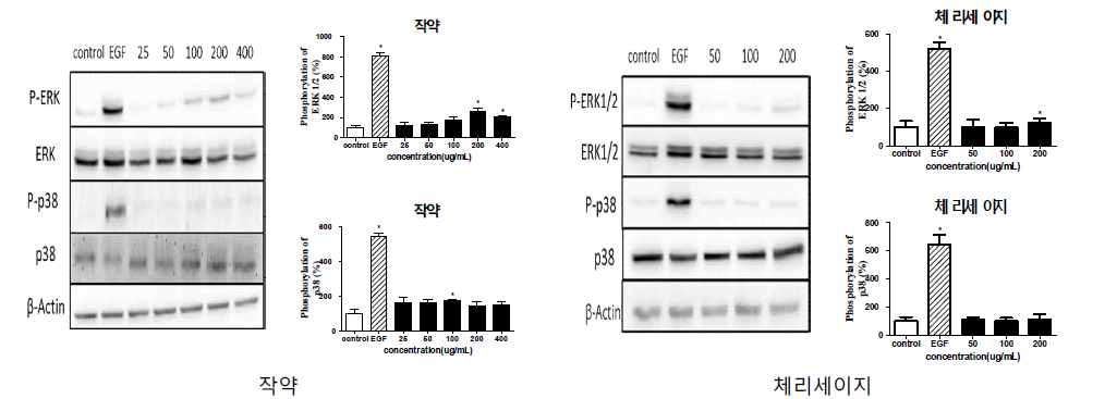 Effect of extracts on phosphorylation of kinases in CCD 986sk cells