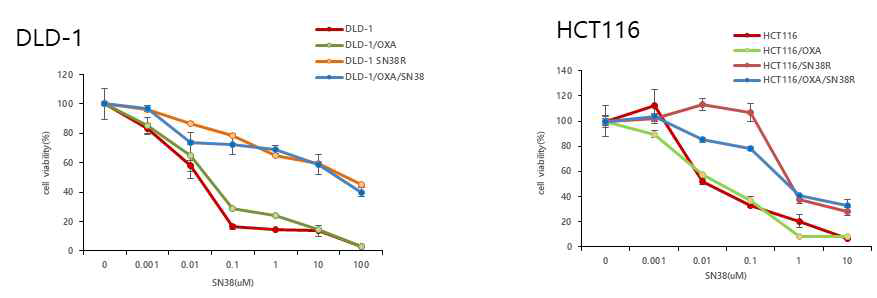1차년도에 구축한 Oxaliplatin 이외에 OXAR+SN38R의 세포주를 확립 및 검증 (좌) DLD-1에서의 내성세포주에 따른 세포사멸 정도 확인 (우) HCT116를 이용한 내성세포주 확립 및 이에 따른 세포사멸 정도 확인