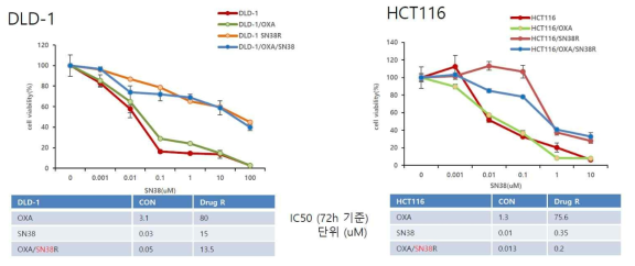 Colon cancer cell 에서 각 내성세포 확립및 이를 기반으로 한 SN38 IC50