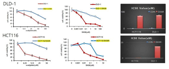 Generationand characterization of drug-resistance cells from colon cancer cells.