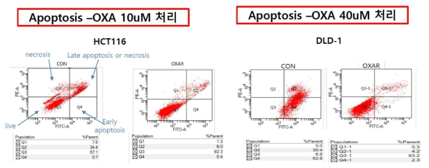 FACS analysis for HCT116 OXA/R and DLD-1 OXA/R