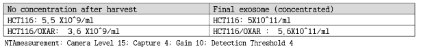 NTA (Nanoparticle Tracking Analysis) 측정 결과