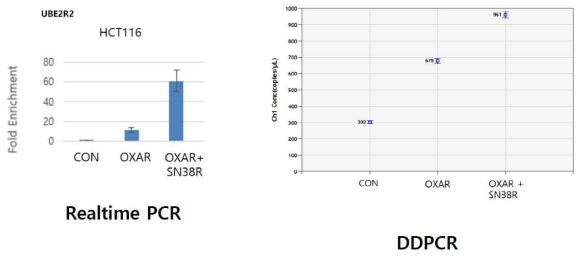 Realtime PCR and DDPCR for UBE2R2 in HCT116 control, OXA/R, and OXA/SN-38/R