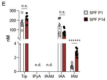 SPF p1, p14 마우스 피부에서 tryptophan 대사체 metabolomics 분석