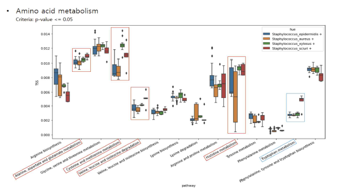 S.lentus(=S.sciuri) 균주에서 특이적으로 증가된 tryptophan metabolism 유전자 pathway