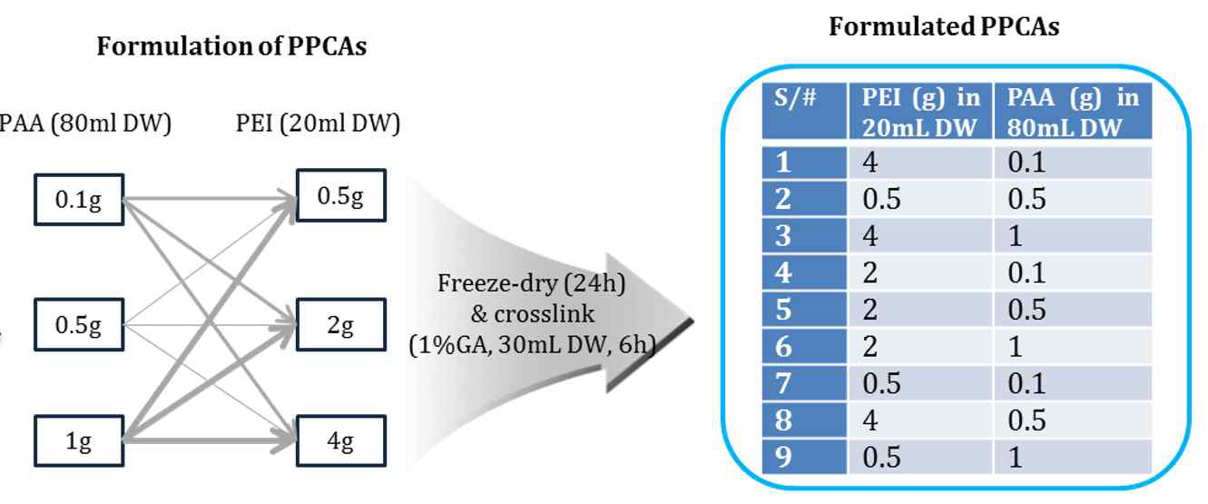 PAA와 PEI의 배합비율에 따라 제조된 PPCAs