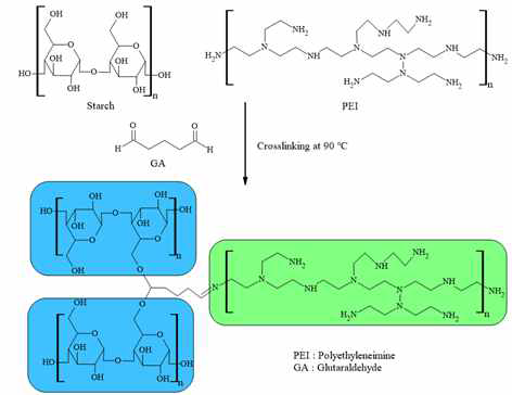 Polyethylenimine와 starch의 glutaldehyde에 의한 가교 반응 모식도