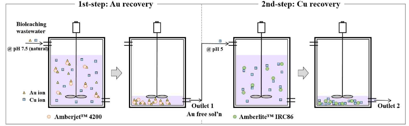 바이오리칭 침출액으로부터 Au와 Cu 회수를 위한 연속식 공정의 two-step 모식도