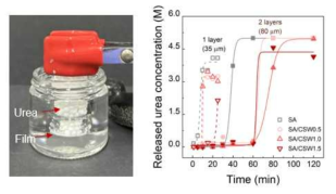 농업용 비료 방출 속도 조절용 어플리케이션으로 사용하기 위한 SA/CSW 나노복합체 필름의 우레아 방출 농도 평가