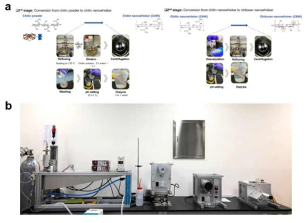 (a) 키토산 나노피브릴 합성과정, (b) 생분해성 섬유 제조용 습식방사 설비