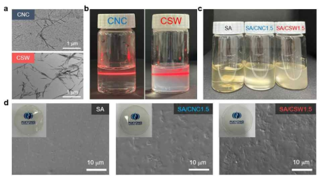 (a) CNC와 CSW의 피브릴 모폴로지, (b) 수계 분산용액, (c) 제조된 SA/CNC와 SA/CSW 나노복합체 용액 및 (d) 나노복합체 필름