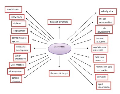 miRNA 활용 가능 질환 및 분야 (A ParadowskaGorycka et al,, 2017)