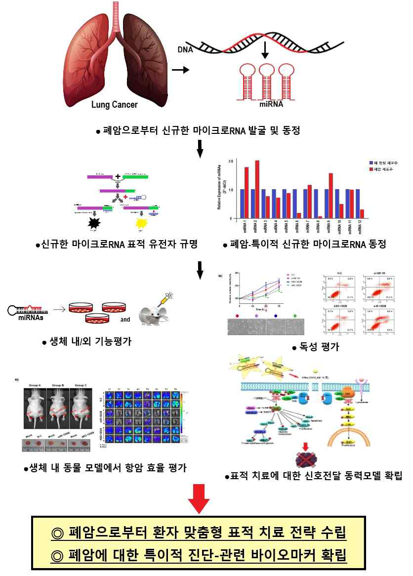 연구의 개요 및 최종 목표