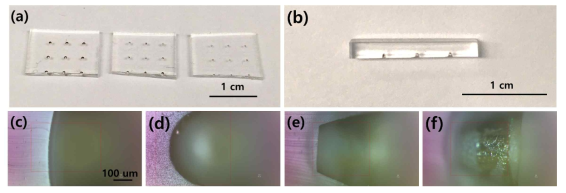 3차원 줄기세포 배양 플랫폼 이미지. (a),(b) 완성된 플랫폼 및 절편 이미지. (c)~(f) 다양한 크기와 모양의 플랫폼 절편 패턴 10배율 광학이미지