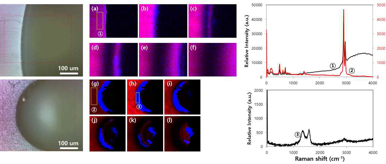 곡률에 따른 산화 그래핀 코팅 여부 차이. (a)~(f) 곡률이 큰 패턴에서의 3차원 라만 맵 이미지. (g)~(l) 곡률이 작은 패턴에서의 3차원 라만 맵 이미지. 그래프 ① 실패한 코팅 패턴의 스펙트럼. ②, ③ 성공적인 코팅 조건에서의 ②PDMS, ③산화 그래핀 스펙트라