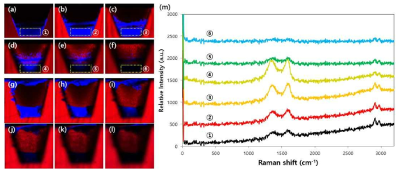 산화 그래핀 코팅 조건에 따른 잔여물 여부 차이. (a)~(f) 잔여물이 없는 산화 그래핀 코팅 조건에서의 3차원 라만 맵 이미지. (g)~(l) 잔여물이 남는 조건에서의 3차원 라만 맵 이미지. (m) z축에 따른 산화 그래핀 라만 스펙트라
