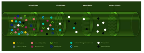 Ultra-thin filter membrane 및 tangential flow filtration 방식을 활용한 GARS1-EV 분리 정제 도식도