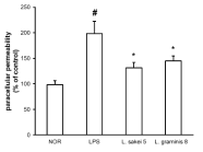균주 처리가 Caco-2 세포 단층의 paracellular permeability에 미치는 영향