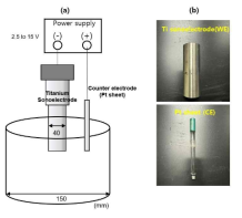(a) 2전극 시스템 모식도, (b) 작동 전극(WE) Ti 초음파 전극과 상대 전극(CE) Pt sheet