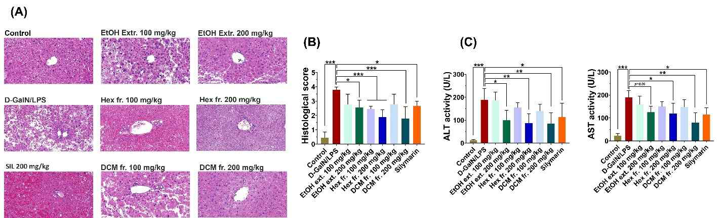 Lipophilic fractions of P. fruticosa root extract attenuates D-GalN/LPS-induced liver injury. (A) Representative images of H&E staining. (B) Histopathological score. (C) ALT and AST levels