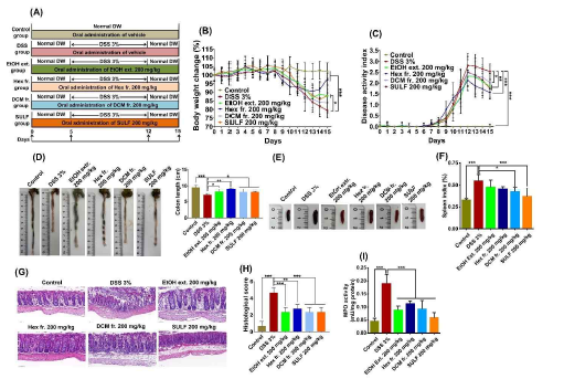 Lipophilic fractions from P. fruticosa root EtOH extract attenuate the development of DSS-induced acute colitis. (A) Experimental design. (B) Body weight change. (C) Disease activity index (DAI). (D) Colon length. (E) Macroscopic observation of spleen. (F) Spleen index. (G) Representative H&E staining images. (H) Histological score. (I) MPO activity