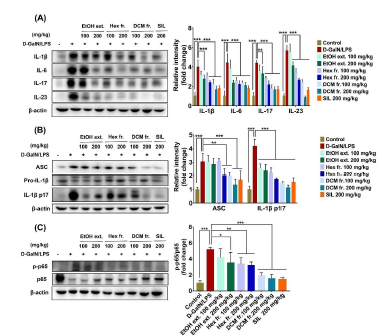 Anti-inflammatory activities of lipophilic fractions from P. fruticosa root extract in D-GalN/LPS-induced liver injury. (A) Expressions of IL-1β, IL-6, IL-17, and IL23 in liver tissues. (B) NLRP3 inflammasome activation. (C) NF-κB pathway