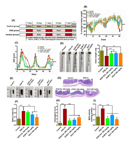 The lipophilic fraction from P. fruticosa root EtOH extract attenuates the development of colitis in DSS-induced chronic colitis mice. (A) Experimental design. (B) Body weight change. (C) Disease activity index (DAI) score. (D) Colon length. (E) Macroscopic observation of spleen. (F) Spleen index. (G) Representative H&E staining images. (H) Histological score. (I) Colonic MPO activity