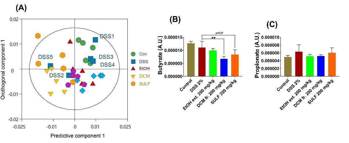 Effect of lipophilic fraction from P. fruticosa root EtOH extract on gut microbiota-derived metabolite profiles in DSS-induced chronic colitis mice. (A) Orthogonal partial least squares-discriminant analysis (OPLS-DA) plot. (B-C) Butyrate and Propionate levels