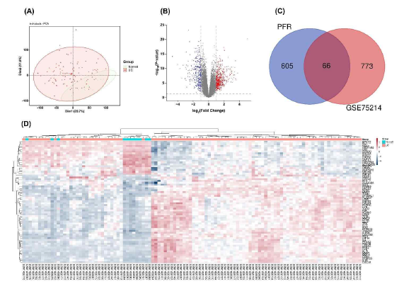 Target gene prediction of lipophilic compounds from P. fruticosa root (PFR) and ulcerative colitis (UC) and screening the common targets between PFR and UC. (A) Principal components analysis (PCA) plot of UC and normal tissue samples in dataset. (B) Volcano plot of genes expression (GSE75214). (C) Venn diagram of the intersection between PFR targets and UC-related genes. (D) Heatmap representing the 66 genes in dataset GSE75214