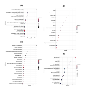 GO and KEGG pathway enrichment analyses. (a) Bubble chart of the top 20 GO biological processes (BPs), cellular components (CCs), and molecular functions (MFs); (D) Bubble chart of the top 20 KEGG enriched pathways