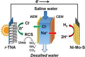 Appl. Catal. B: Environ. 284 (2021) 119745