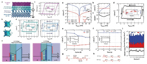 1nm HfO2 기반 Si FTJ의 성능 향상 분석 [2]