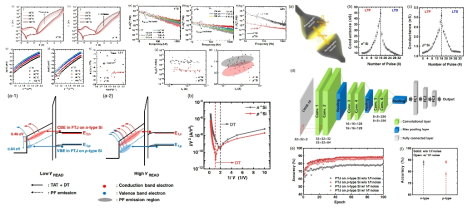 LFN 특성 분석을 통한 n형/p형 Si FTJ의 CNN 학습 정확도