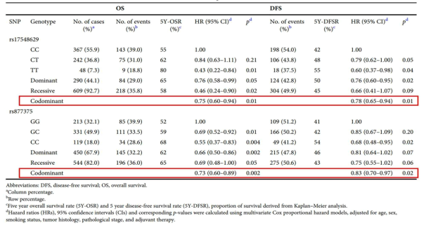 Overall survival and disease-free survival according to RIPK1 rs17548629C>T and MLKL rs877375G>C