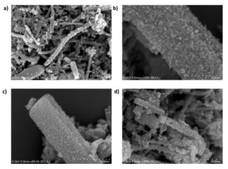 Scanning electron microscopy images of Ni-DBC@Cu-DBC crystals