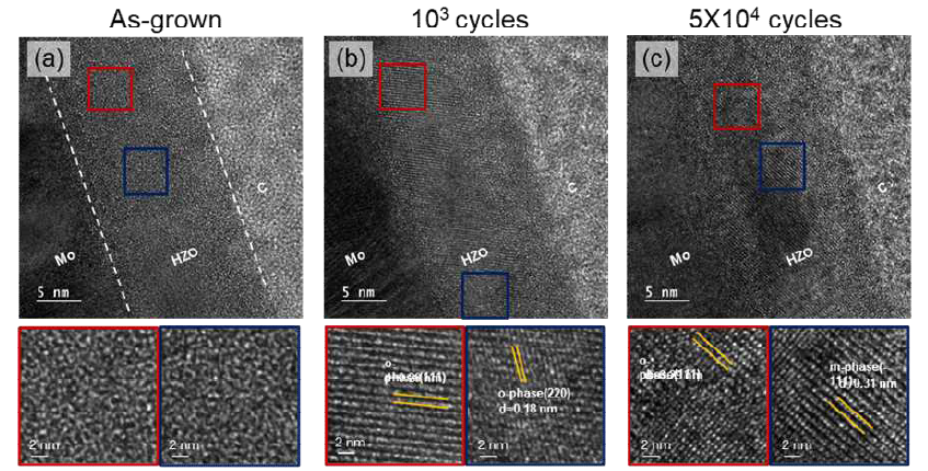 비강유전 HZO박막에서 cycling에 따른 TEM 이미지 (a) As-grown (b) 103 cycles (c) 2×104 cycles