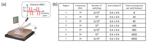 (a) AFM 기반 cycling 방법을 나타내는 모식도. (b) Cycling의 parameter들을 나타내는 표