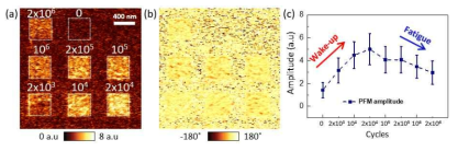 Cycling 후 PFM (a) amplitude 및 (b) phase 이미지, (c) amplitude 그래프