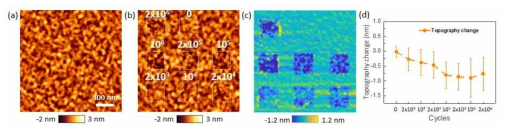 Cycling에 따른 표면 이미지: (a) 전, (b) 후. 표면 높낮이 변화 (c) 이미지 및 (d) 그래프