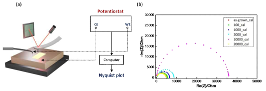 (a) EIS을 통한 HZO에서의 전기화학거동 분석 모식도 (b) cycling에 따른 EIS nyquist plot