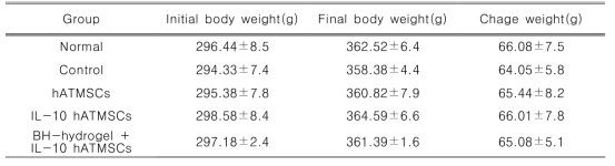 MIA로 유발된 골관절염 랫드모델에서 IL-10 hATMSCs 및 hATMSCs 투여로 인한 체중변화