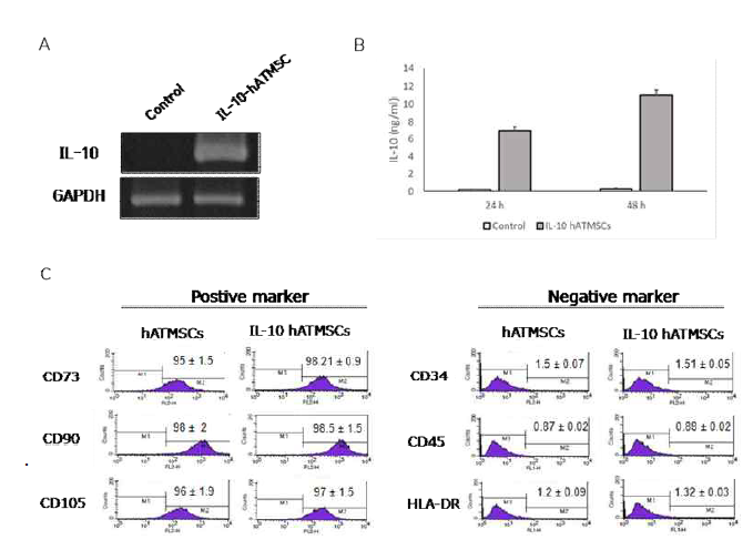 IL-10 hATMSCs에서 IL-10 과 발현 확인 및 줄기세포성 검증. A: RT-PCR을 통한 IL-10 mRNA 발현확인, B: ELISA를 통한 IL-10 단백질 확인, C: Immunophenotyping을 통해 줄기세포 표지마커 확인