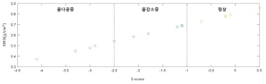 BMD와 T-score의 관계