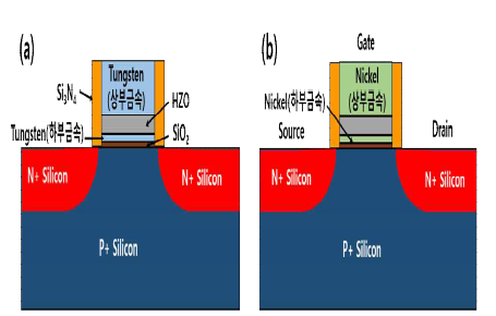 제안된 신구조 설명, (a) : 메모리 소자 (Tungsten 게이트 사용), (b) : 로직 소자(Nickel 게이트 사용)