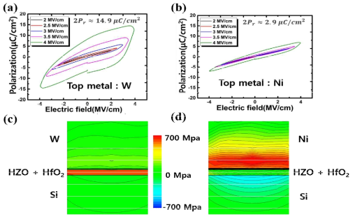 본 연구에서 실제 소자 측정과 Process simulation을 통해서 게이트 금속에 따른 실제 소자의 분극 특성 변화와 같은 공정에서의 HZO 에 인가되는 stress 분석 결과. (a) : W 게이트의 실제 분극 특성, (b) : Ni 게이트 실제 분극 특성, (c) : W 게이트의 스트레스 변화, (d) : Ni 게이트의 스트레스 변화