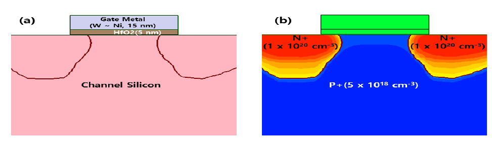 Process simulation 으로 생성한 FeFET 구조, (a)구조 설명, (b)doping profile