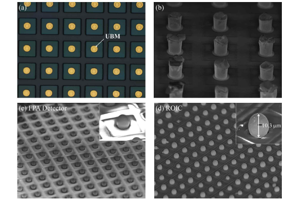 (a) 각 픽셀에 증착한 UBM 현미경 측정 사진, (b) 전기도금법을 통하여 성장한 인듐범퍼 기둥 SEM 사진, (c) 검출소자 픽셀과 (d) ROIC 픽셀 위에 Reflow 공정 후 Dome형태로 변형된 인듐범퍼