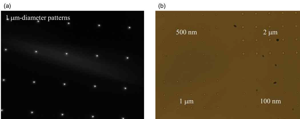 (a) 1㎛ 지름을 갖는 ER Pattern의 Dark Field 현미경 사진 (b) Metal 증착 후 2 ㎛, 1 ㎛, 500 nm, 100 nm 지름을 갖는 Circle Pattern 현미경 사진