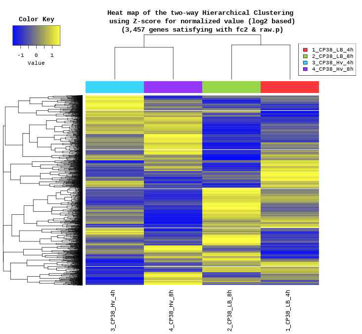 DEG 리스트에 대한 Heatmap 결과