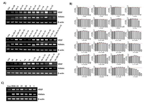 T-HESCs 세포주에서 2가지 혹은 3가지로의 조합의 가능성을 유전자 VEGF와 Visfatin 발현여부를 RT-PCR을 이용하여 모두 스크리닝하여 재차 비교 검토해봄(A). 그리고 1차년도에 구입되었던 다른 기능성 식품소재들의 세포 증식 여부를 WST-8 cell viability kit를 이용하여 확인하고(B), 두드러지게 세포증식이 증가하는 6가지 식품소재를 RT-PCR로 VEGF, Visfatin 유전자 발현을 확인함(C)